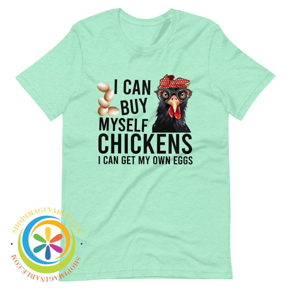 I Can Buy Myself My Own Chickens...womens T-Shirt Heather Mint / S